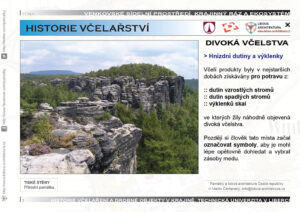 Brtnictví a divoká včelstva ve výklencích skal.