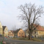 Zděné patrové domy na návsi v obci Starý Týn