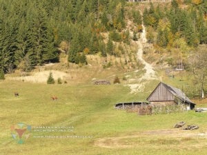 Hory, podhůří a nížiny - Beskydy, Pošumaví a Polabí 2 Hospodářská stavba v Beskydech
